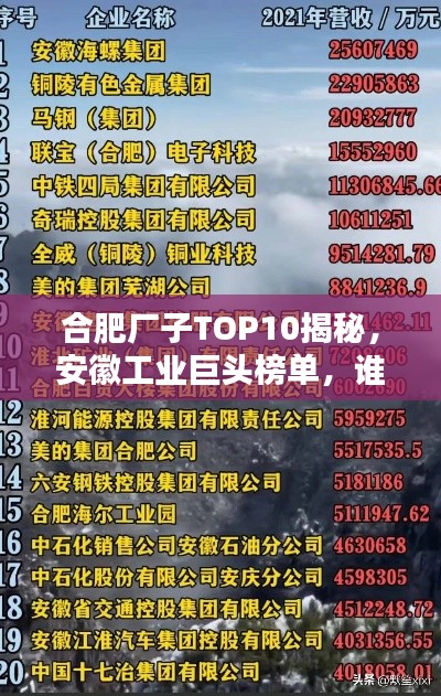 合肥厂子TOP10揭秘，安徽工业巨头榜单，谁领风骚？