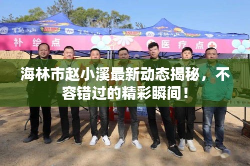 海林市赵小溪最新动态揭秘，不容错过的精彩瞬间！