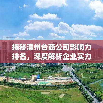 揭秘漳州台商公司影响力排名，深度解析企业实力与影响力