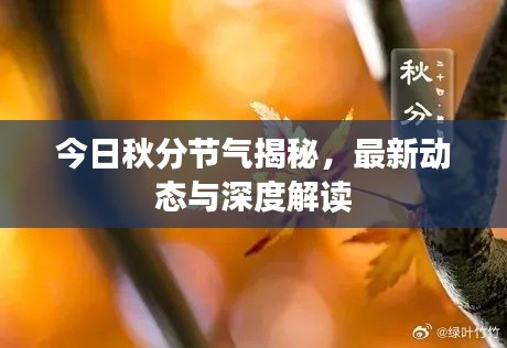 今日秋分节气揭秘，最新动态与深度解读