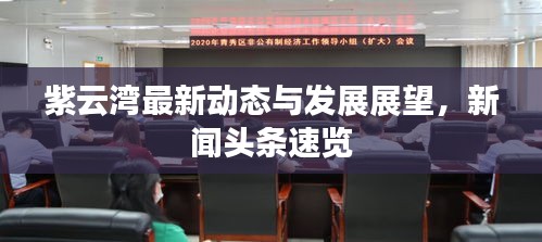 紫云湾最新动态与发展展望，新闻头条速览