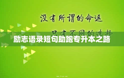励志语录短句助跑专升本之路