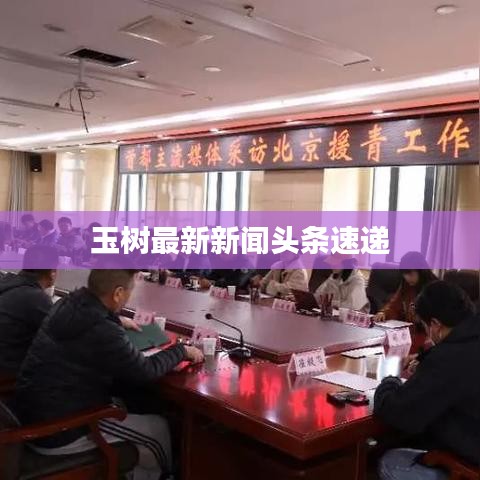 玉树最新新闻头条速递