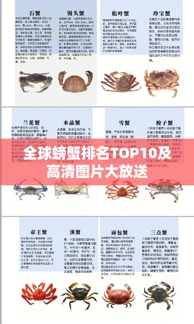 全球螃蟹排名TOP10及高清图片大放送