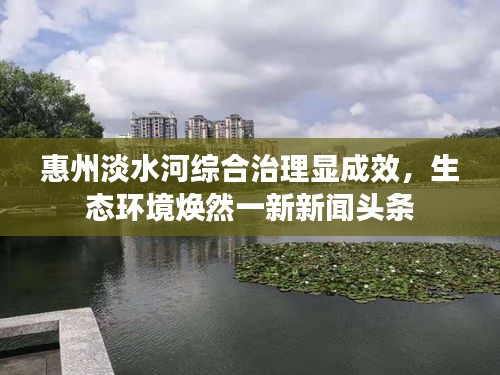 惠州淡水河综合治理显成效，生态环境焕然一新新闻头条