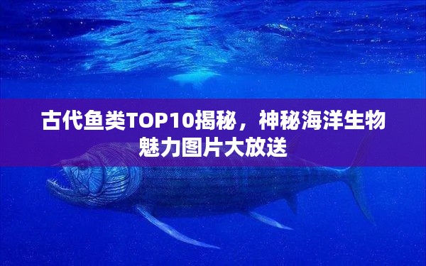古代鱼类TOP10揭秘，神秘海洋生物魅力图片大放送