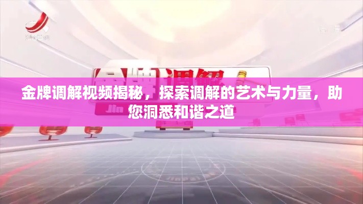 金牌调解视频揭秘，探索调解的艺术与力量，助您洞悉和谐之道