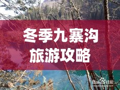 冬季九寨沟旅游攻略，绝美风光，不容错过！