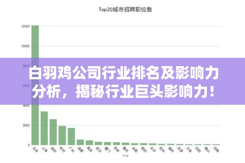 白羽鸡公司行业排名及影响力分析，揭秘行业巨头影响力！