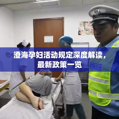 澄海孕妇活动规定深度解读，最新政策一览