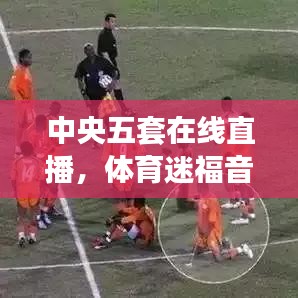 中央五套在线直播，体育迷福音，精彩赛事不容错过！