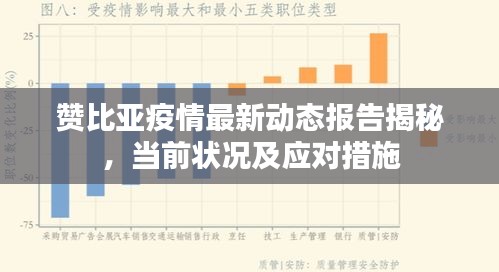 赞比亚疫情最新动态报告揭秘，当前状况及应对措施