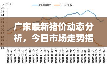 广东最新猪价动态分析，今日市场走势揭秘