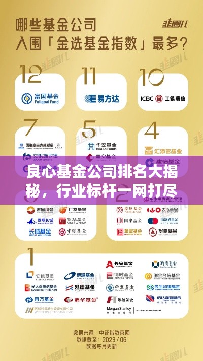 良心基金公司排名大揭秘，行业标杆一网打尽
