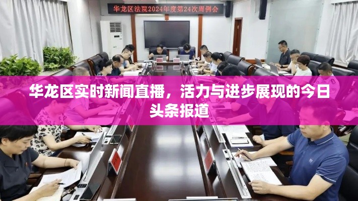 高人雅士