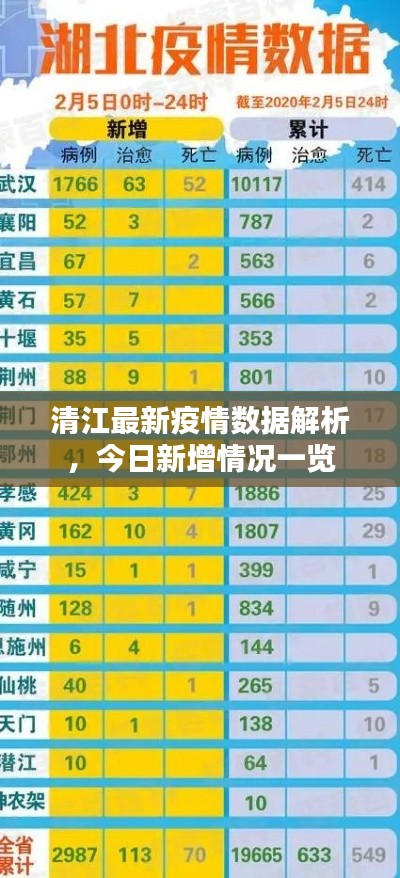 清江最新疫情数据解析，今日新增情况一览