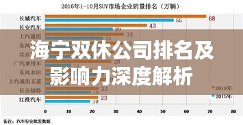 海宁双休公司排名及影响力深度解析