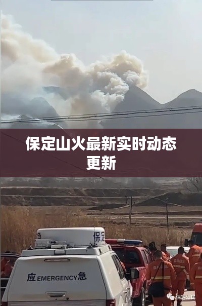 保定山火最新实时动态更新