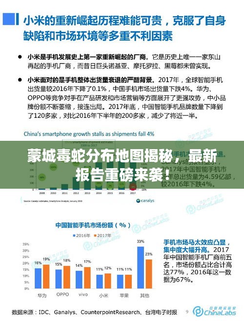 蒙城毒蛇分布地图揭秘，最新报告重磅来袭！