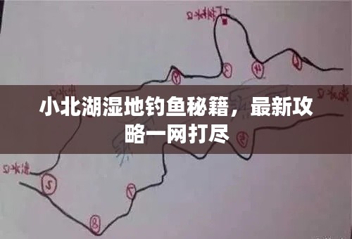 小北湖湿地钓鱼秘籍，最新攻略一网打尽