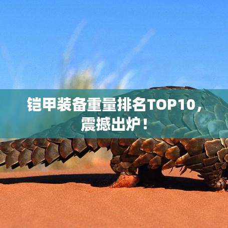 铠甲装备重量排名TOP10，震撼出炉！