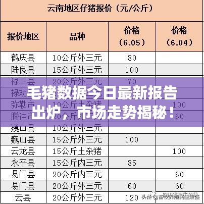 毛猪数据今日最新报告出炉，市场走势揭秘！