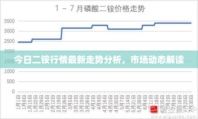 今日二铵行情最新走势分析，市场动态解读