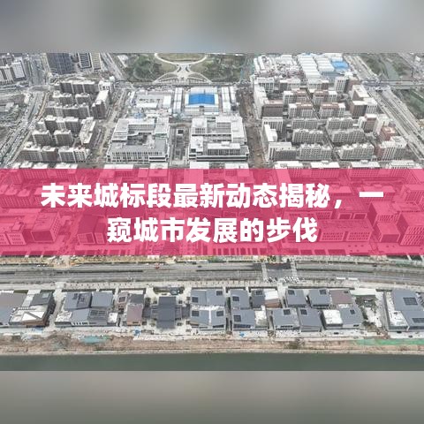 未来城标段最新动态揭秘，一窥城市发展的步伐