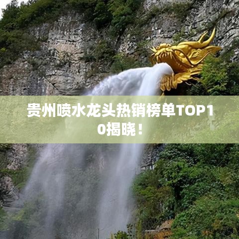 贵州喷水龙头热销榜单TOP10揭晓！