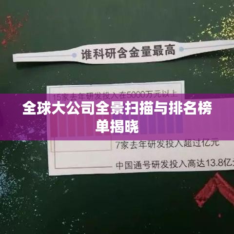 全球大公司全景扫描与排名榜单揭晓