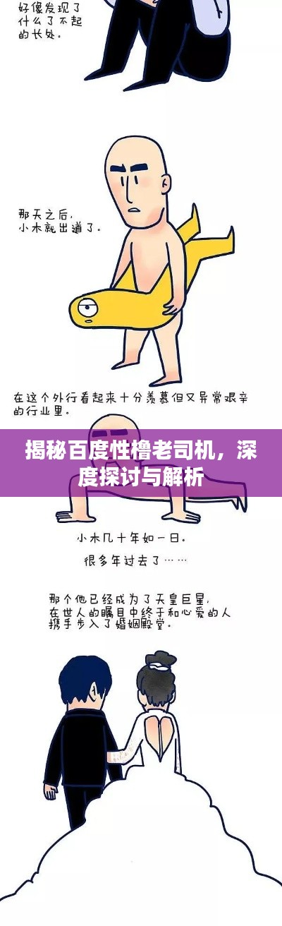 揭秘百度性橹老司机，深度探讨与解析