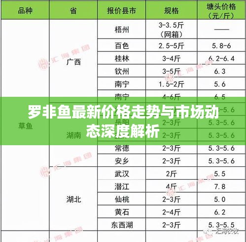 罗非鱼最新价格走势与市场动态深度解析