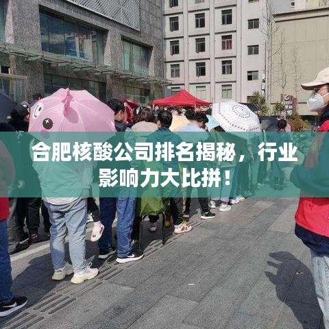 合肥核酸公司排名揭秘，行业影响力大比拼！