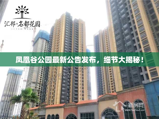 凤凰谷公园最新公告发布，细节大揭秘！