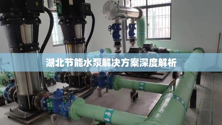 湖北节能水泵解决方案深度解析