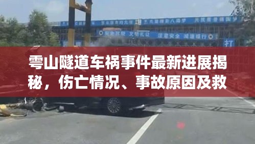 雩山隧道车祸事件最新进展揭秘，伤亡情况、事故原因及救援进展全解析