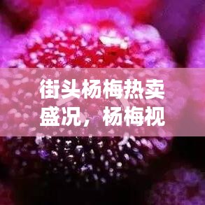 街头杨梅热卖盛况，杨梅视频全集火爆来袭！