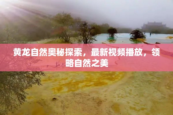 黄龙自然奥秘探索，最新视频播放，领略自然之美