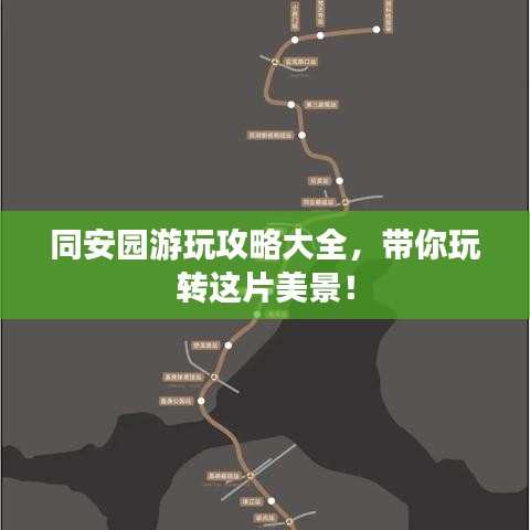 同安园游玩攻略大全，带你玩转这片美景！