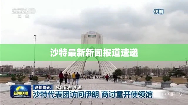 沙特最新新闻报道速递