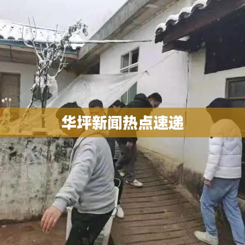 华坪新闻热点速递
