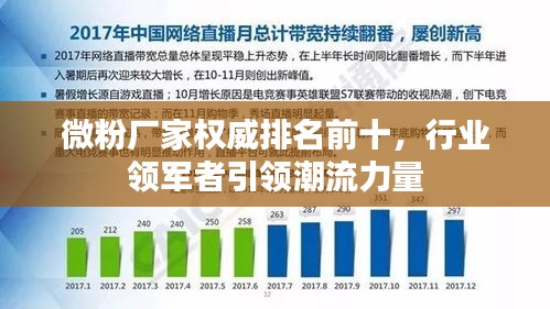 微粉厂家权威排名前十，行业领军者引领潮流力量