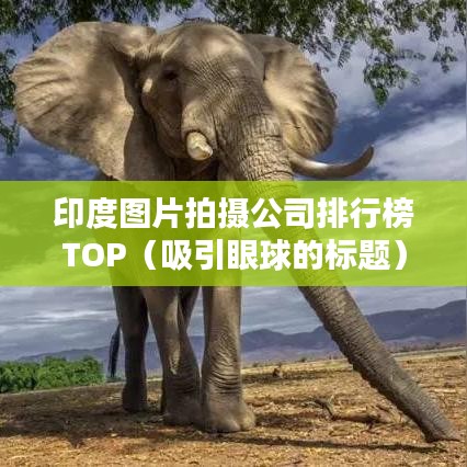 印度图片拍摄公司排行榜TOP（吸引眼球的标题）