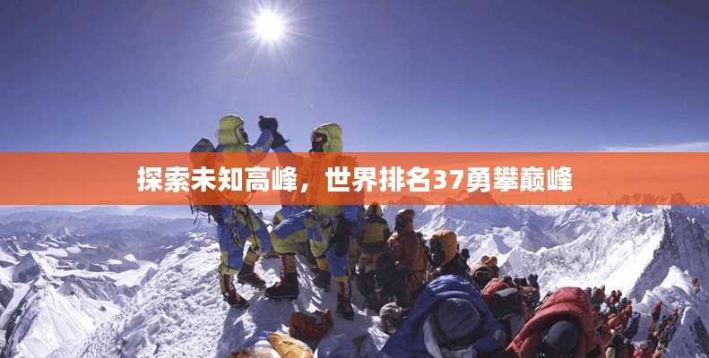 探索未知高峰，世界排名37勇攀巅峰