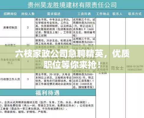 六枝家政公司急聘精英，优质职位等你来抢！