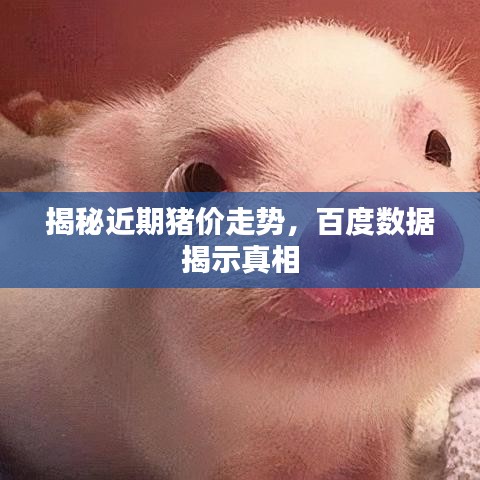 揭秘近期猪价走势，百度数据揭示真相