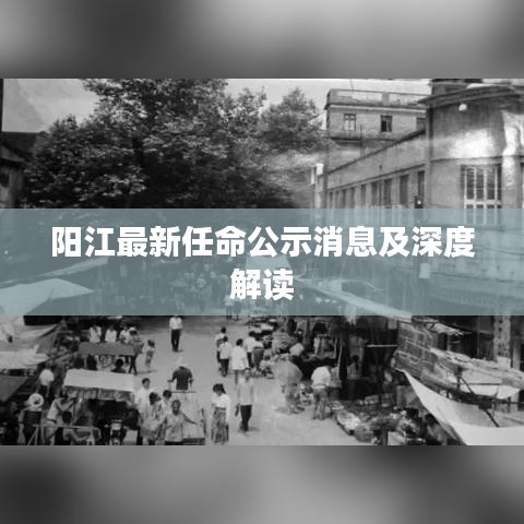 阳江最新任命公示消息及深度解读