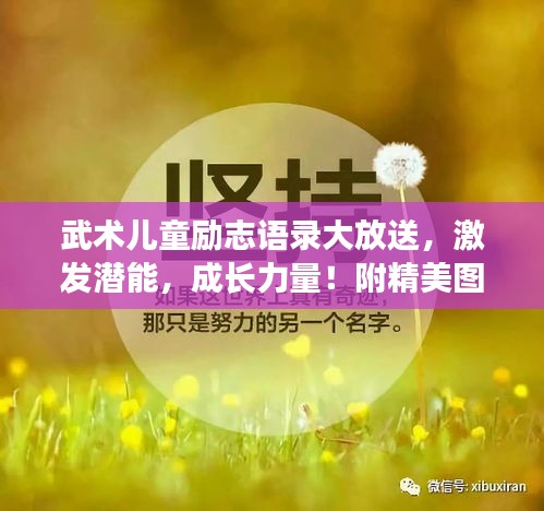 武术儿童励志语录大放送，激发潜能，成长力量！附精美图片