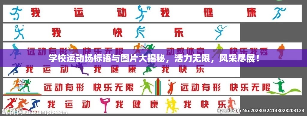 学校运动场标语与图片大揭秘，活力无限，风采尽展！
