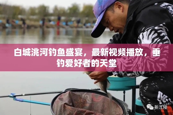 白城洮河钓鱼盛宴，最新视频播放，垂钓爱好者的天堂